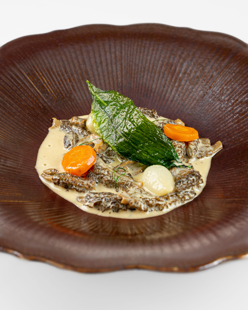 {"fr":"Morilles comme une blanquette","en":"Blanquette of morels","zh":"\u767d\u6c41\u7096\u7f8a\u809a\u83cc","ja":"\u30d6\u30e9\u30f3\u30b1\u30c3\u30c8\u30bd\u30fc\u30b9\u4ed5\u7acb\u3066\u306e\u30e2\u30ea\u30fc\u30e6\u8338","ko":"\ube14\ub791\ucf00\ud2b8 \uc2a4\ud0c0\uc77c\ub85c \uc870\ub9ac\ud55c \ubaa8\ub810 \ubc84\uc12f","ru":"\u0421\u043c\u043e\u0440\u0447\u043a\u0438 \u0432 \u0432\u0438\u0434\u0435 \u0431\u043b\u0430\u043d\u043a\u0435\u0442"}