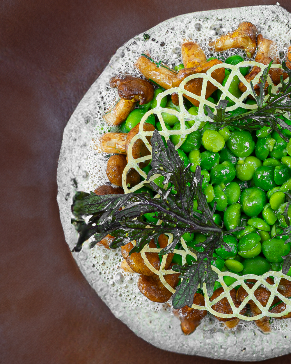 {"fr":"\u00ab Petits pois-girolles \u00bb","en":"Young peas-girolles","zh":"\u9c9c\u5ae9\u9752\u8c4c\u8c46\u70e9\u9e21\u6cb9\u83cc","ja":"\u300c\u30af\u30ea\u30fc\u30f3\u30d4\u30fc\u30b9\u3068\u30b8\u30ed\u30fc\u30eb\u8338\u306e\u53d6\u308a\u5408\u308f\u305b\u300d","ko":"\uc644\ub450\ucf69, \uc9c0\ub864\ubc84\uc12f","ru":"\u00ab\u0433\u043e\u0440\u043e\u0448\u0435\u043a-\u043b\u0438\u0441\u0438\u0447\u043a\u0438\u00bb"}