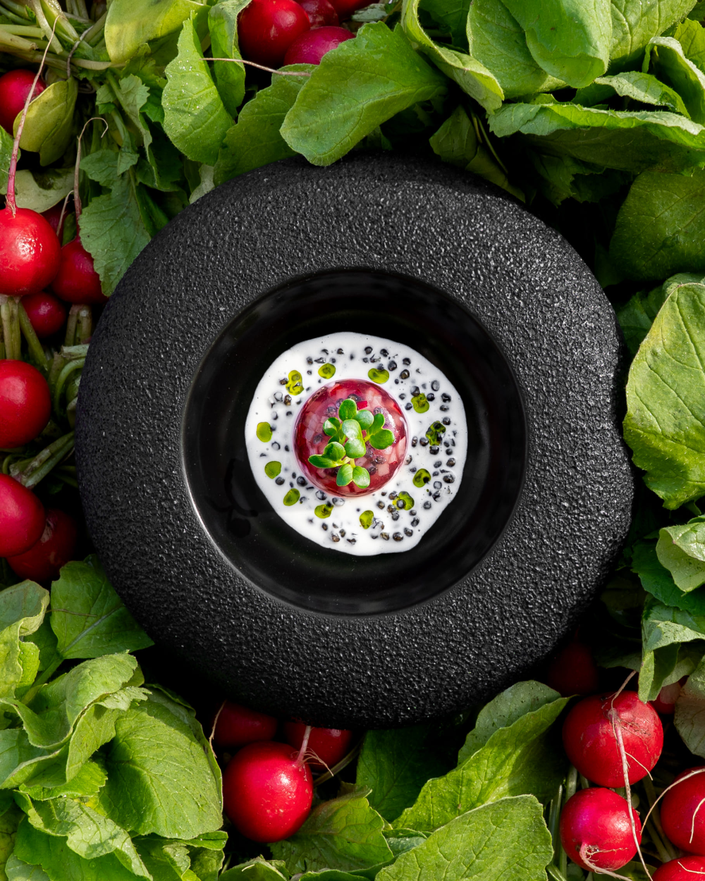 {"fr":"Gel\u00e9e de radis au caviar","en":"Radish jelly with caviar","zh":"\u9910\u524d\u5c0f\u70b9","ja":"\u30a2\u30df\u30e5\u30fc\u30ba\u30d6\u30c3\u30b7\u30e5","ko":"\uc560\ud53c\ud0c0\uc774\uc800","ru":"\u041b\u0435\u0433\u043a\u0438\u0435 \u0437\u0430\u043a\u0443\u0441\u043a\u0438"}