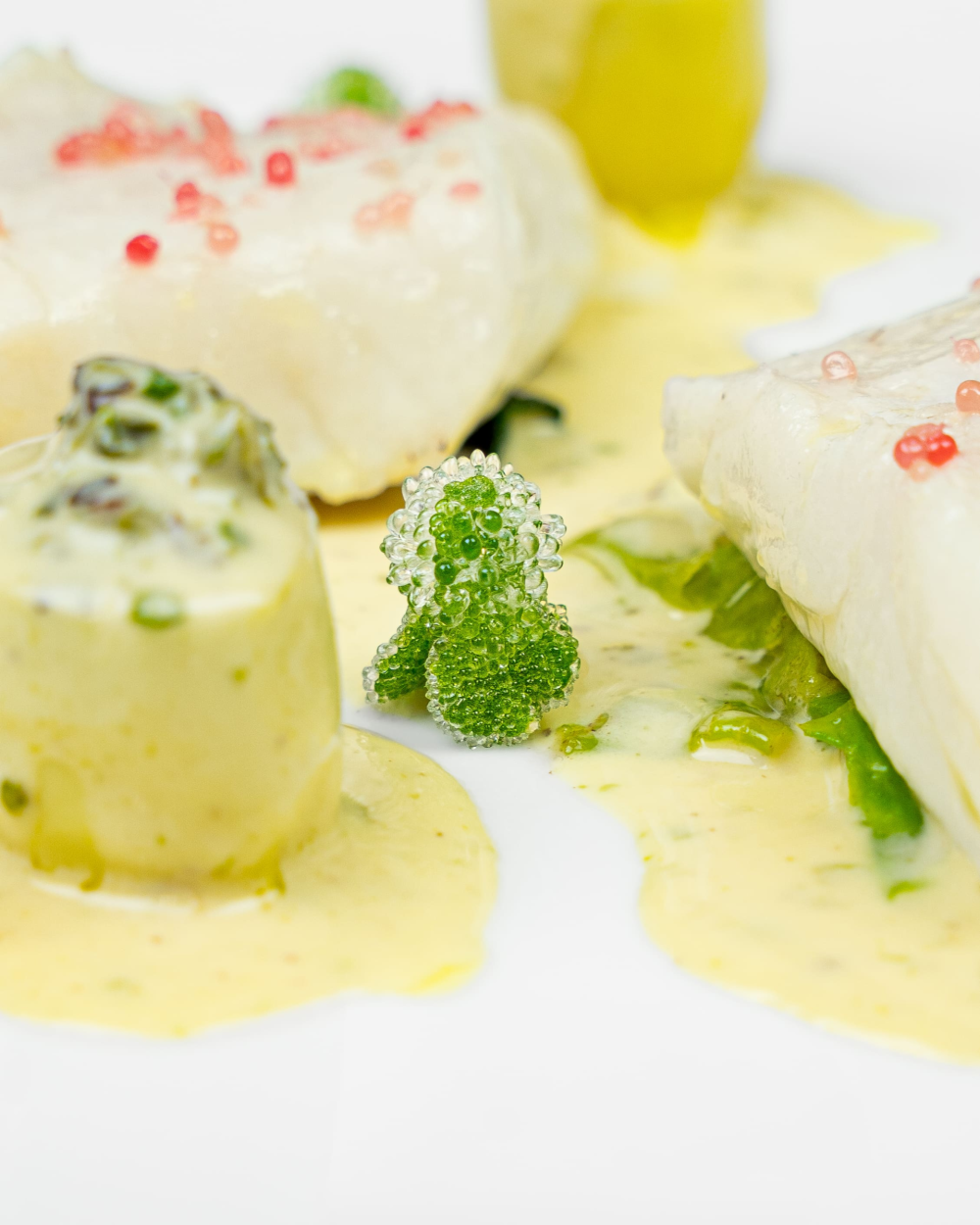 {"fr":"Saint-Pierre \u00e9tuv\u00e9, du v\u00e9g\u00e9tal marin, un bon go\u00fbt de patate","en":"Steamed John Dory, sea vegetables, potato","zh":"\u6e05\u84b8\u591a\u5229\u9c7c\u4f50\u85af\u9999\u6d77\u6d0b\u852c\u83dc","ja":"\u30b5\u30f3\u30fb\u30d4\u30a8\u30fc\u30eb\uff08\u30de\u30c8\u30a6\u30c0\u30a4\uff09\u306e\u84b8\u3057\u713c\u304d\u3001\u6d77\u85fb\u3068\u30b8\u30e3\u30ac\u30a4\u30e2\u306e\u82b3\u9187\u306a\u9999\u308a\u3092\u7e8f\u3063\u3066","ko":"\ud574\uc870\ub958\uc640 \uae4a\uc740 \ud48d\ubbf8\uc758 \uac10\uc790\ub97c \uacc1\ub4e4\uc778 \uc0dd\ud53c\uc5d0\ub974 \uc5d0\ud280\ubca0","ru":"\u0421\u043e\u043b\u043d\u0435\u0447\u043d\u0438\u043a \u043d\u0430 \u043f\u0430\u0440\u0443, \u043c\u043e\u0440\u0441\u043a\u0438\u0435 \u0440\u0430\u0441\u0442\u0435\u043d\u0438\u044f, \u0441\u043e \u0432\u043a\u0443\u0441\u043e\u043c \u043a\u0430\u0440\u0442\u043e\u0444\u0435\u043b\u044f"}